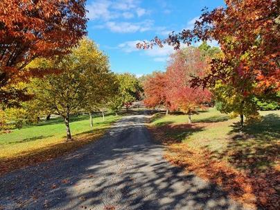 乌伦格住宿加早餐旅馆 伍登德 外观 照片